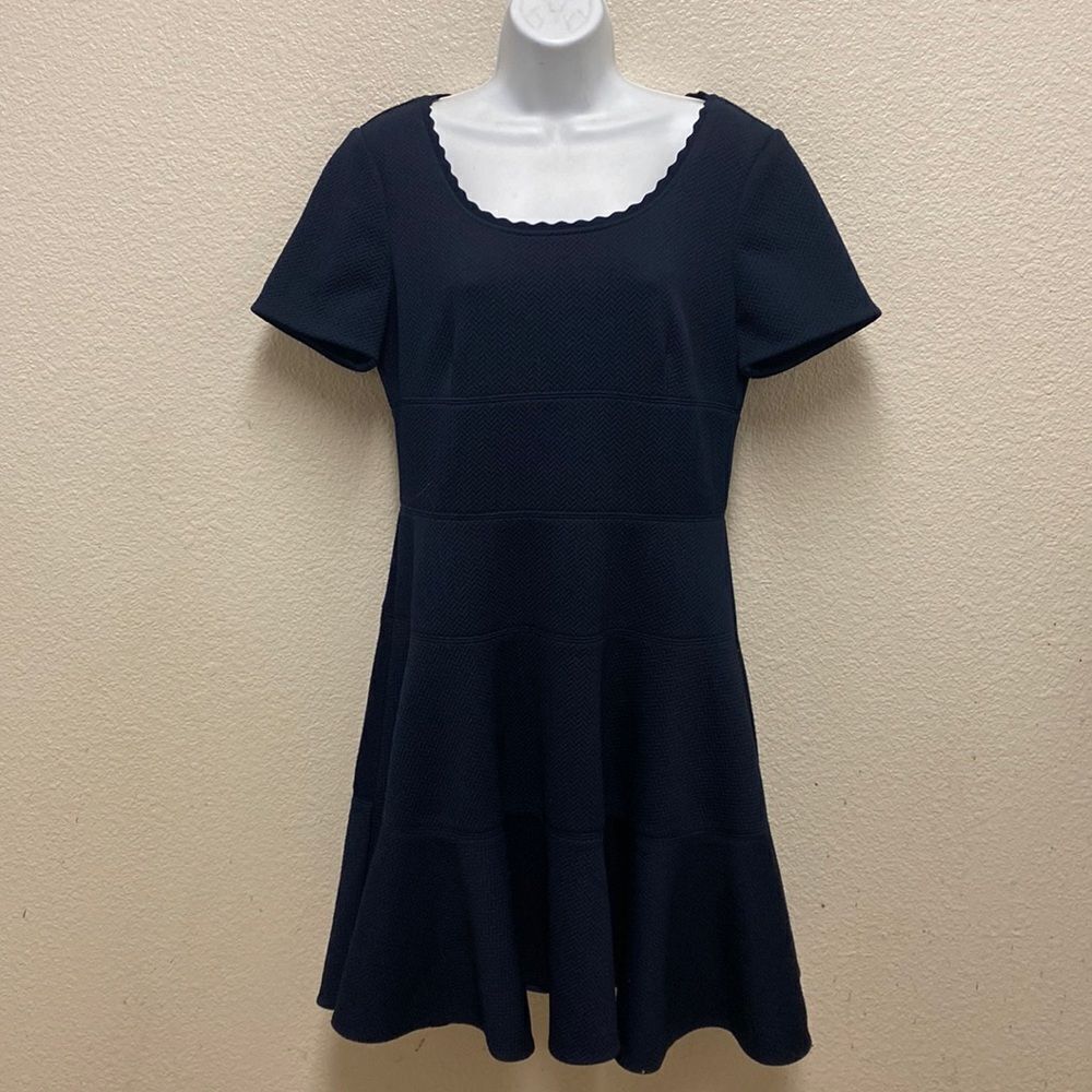 Rebecca Taylor Scoop Neck Textured Fit & Flare Dress Size 10